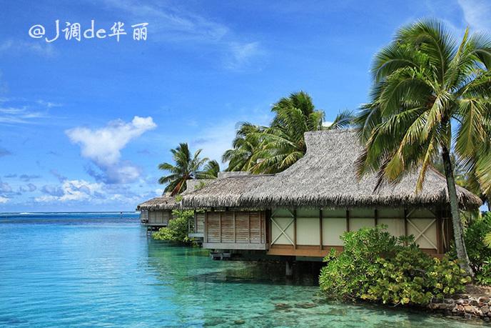 太会玩!网红土豆面包勇闯尔滨登上热搜